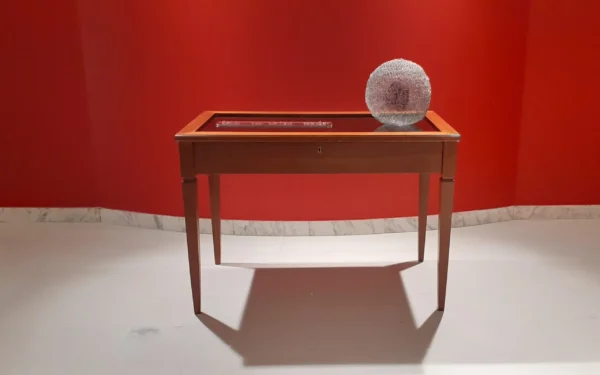 Ammira la galleria delle opere di Antonella Romano, dove il fil di ferro prende forma in sculture evocative che narrano storie di fragilità e resilienza.