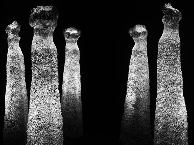 Ammira la galleria delle opere di Antonella Romano, dove il fil di ferro prende forma in sculture evocative che narrano storie di fragilità e resilienza.